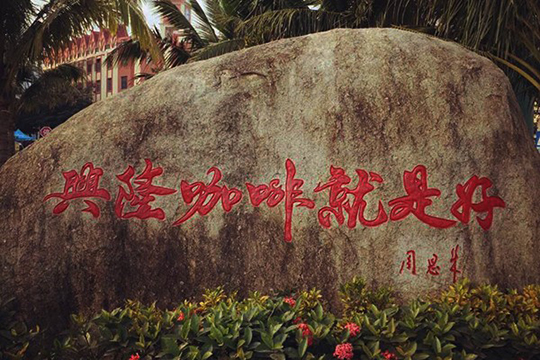 興隆華僑農場咖啡