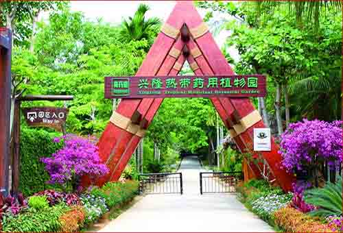 興隆熱帶藥用植物園